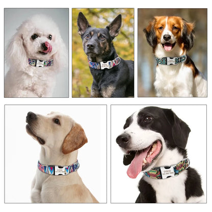 Personalized Pet Dog Tag Collar