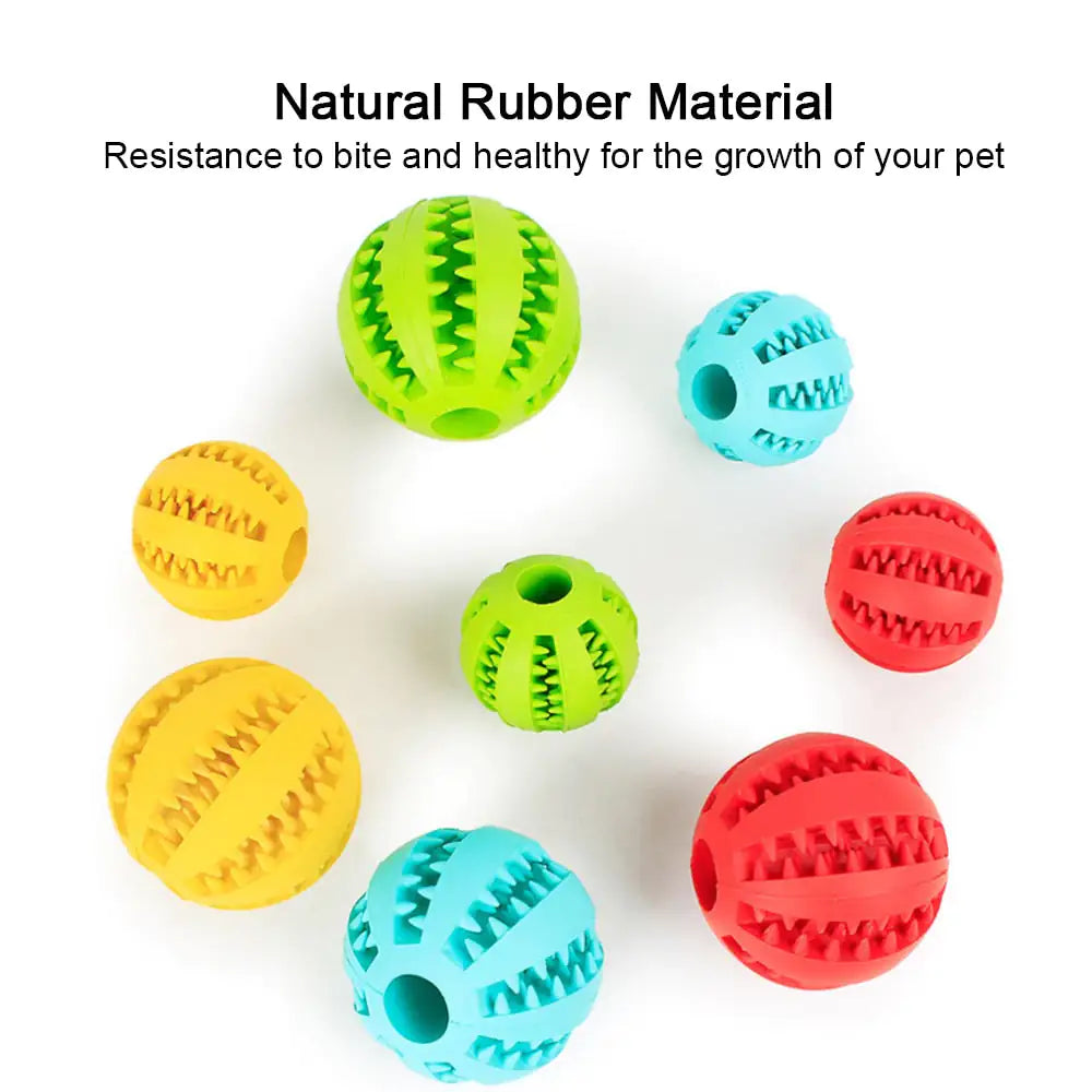 Interactive Toy Balls